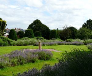 Winston Churchill Memorial Gardens with lavender plants and yew trees